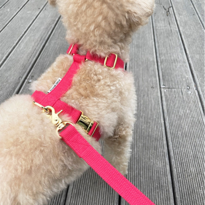 palette leash〈ピンク・レッド系〉