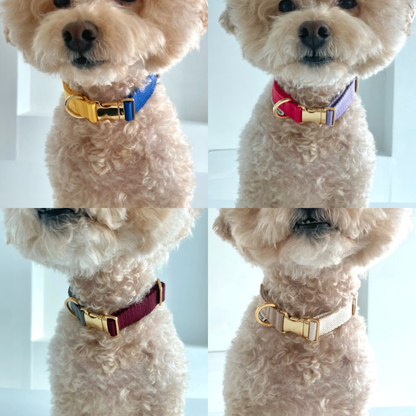 palette collar〈ツートーンB〉