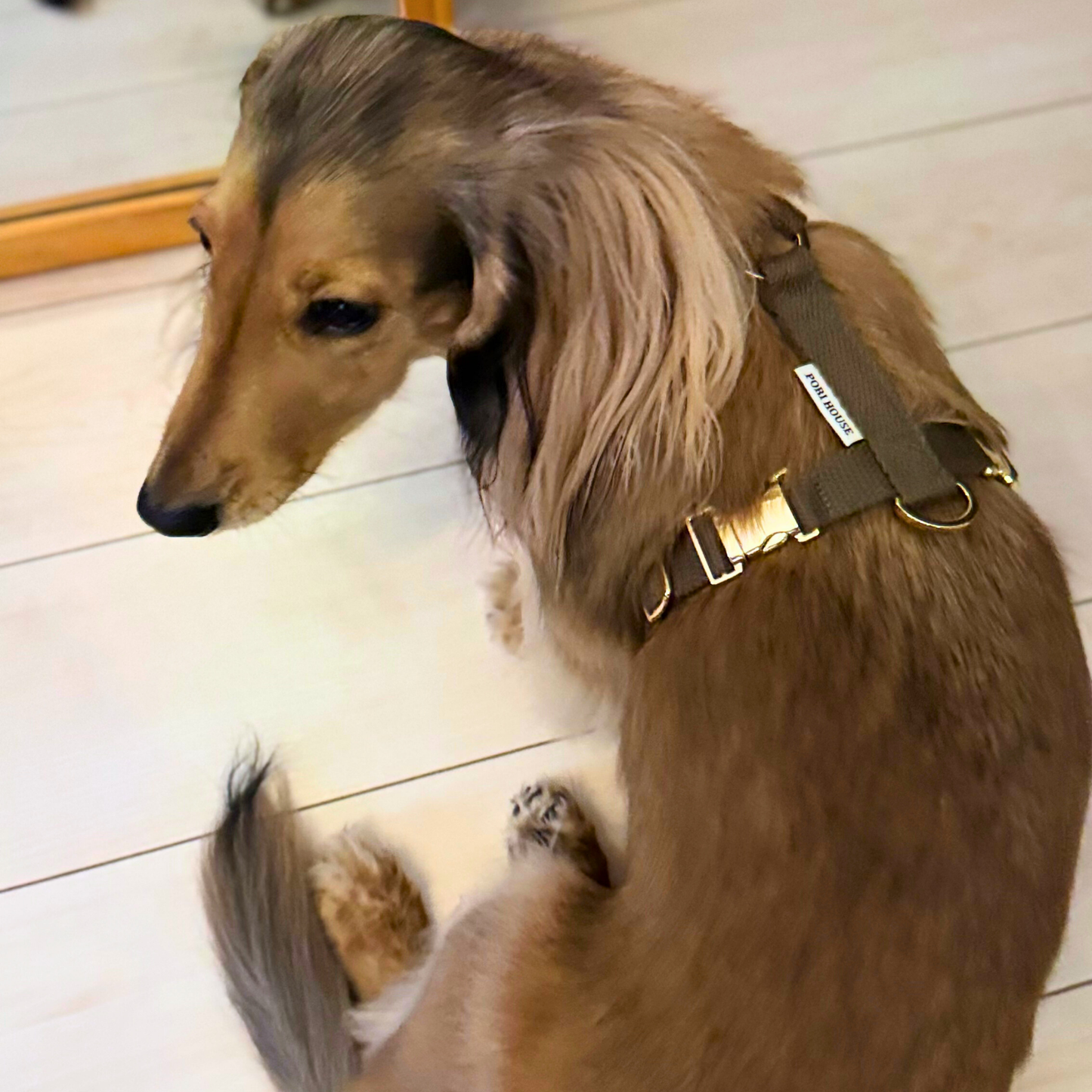 palette harness〈アース〉