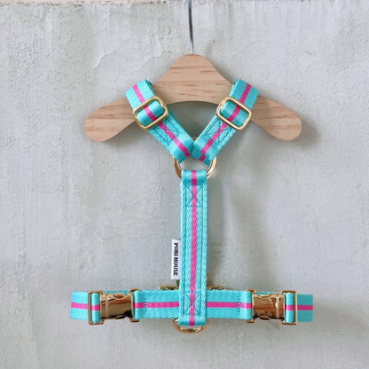 lollipop harness