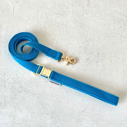 palette leash〈サマー〉