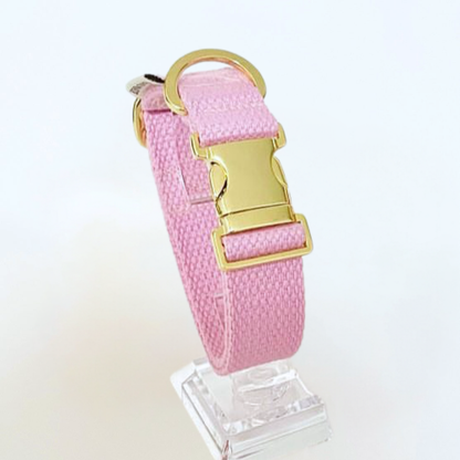 palette collar〈ソフト＆クリア〉