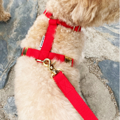 palette leash〈ピンク・レッド系〉