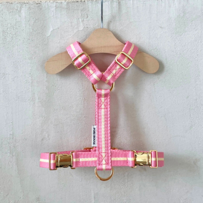 lollipop harness