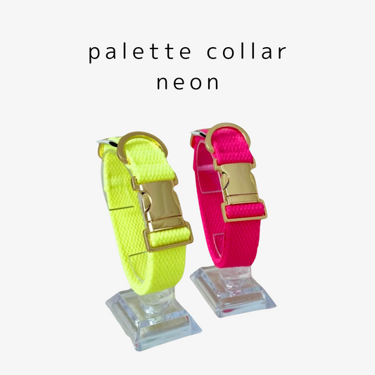 palette collar〈ネオン〉