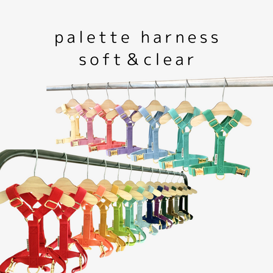 palette harness〈ソフト＆クリア〉