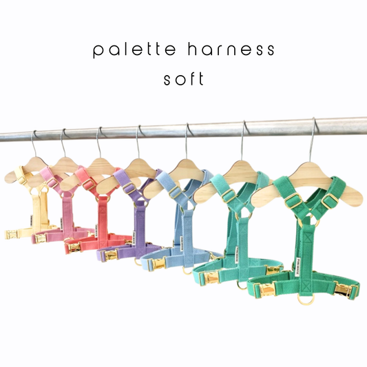 palette harness〈ソフト〉