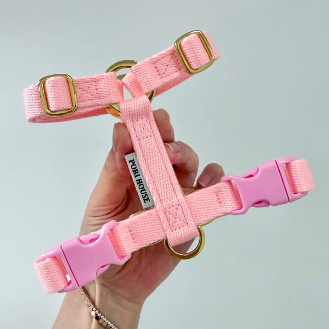 petit harness