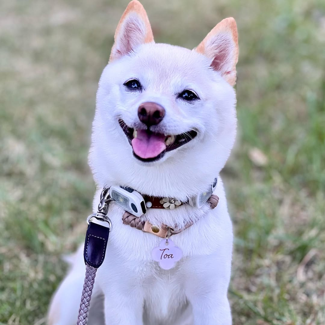 omamori charm – フラワー〈ペールカラー〉