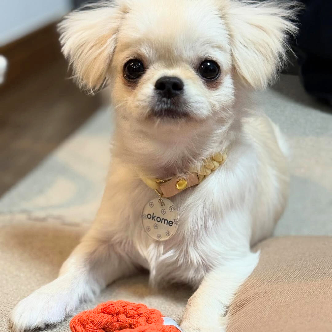 omamori charm – パターン〈おはな〉