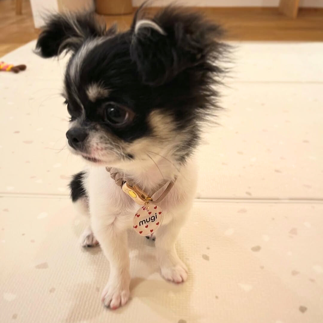 omamori charm – パターン〈はーと〉