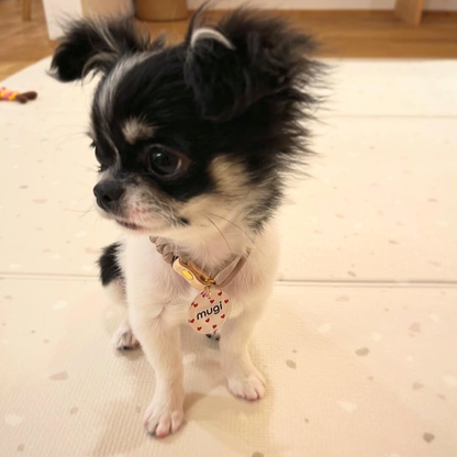 omamori charm – パターン〈はーと〉