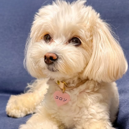 omamori charm – ハート〈ペールカラー〉