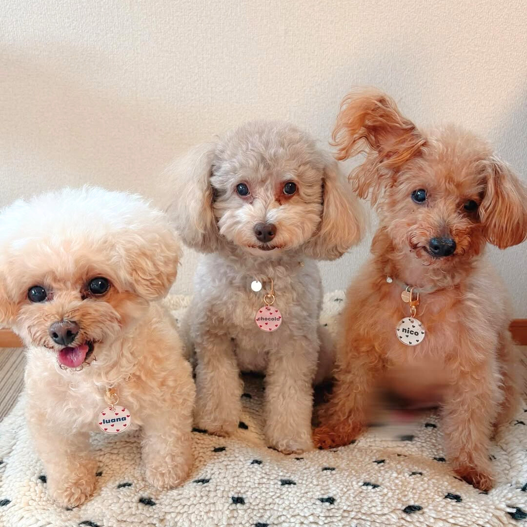 omamori charm – パターン〈はーと〉